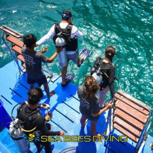 Tägliche Vormittagstauchgänge – Start ab Phi Phi