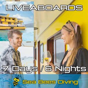 Marco Polo Liveaboard 7 Tage/6 Nächte