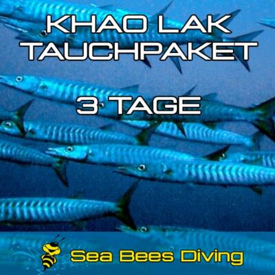 3 Tages Tauchpaket Khao Lak
