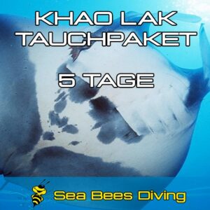 5 Tage Tauchpaket Khao Lak