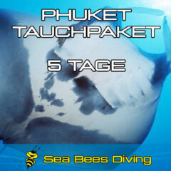 5 Tage Tauchpaket Phuket
