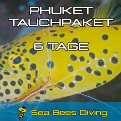 6 Tage Tauchpaket Phuket