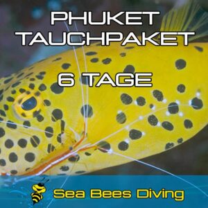 6 Tage Tauchpaket Phuket