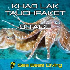 8 Tage Tauchpaket Khao Lak