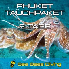 8 Tage Tauchpaket Phuket