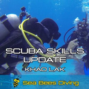Scuba Skills Update (Refresher) – Khao Lak