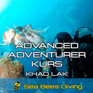 Advanced Adventurer Kurs – Khao Lak