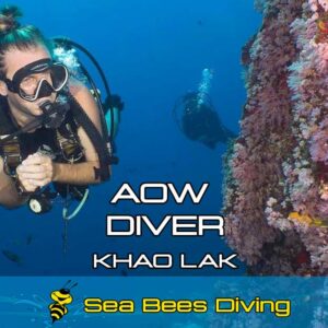 Advanced Open Water Diver Kurs – Khao Lak