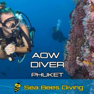 Advanced Open Water Diver Kurs – Phuket