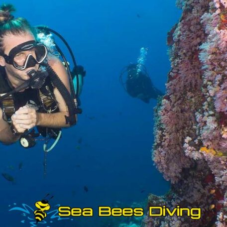 sea-bees-advanced-open-water-diver-water-temperature