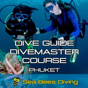 Diveguide / Divemaster – Kurs in Phuket