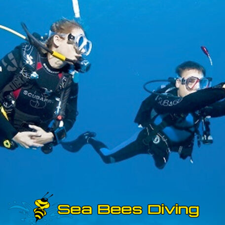 sea-bees-diving-course-khao-lak