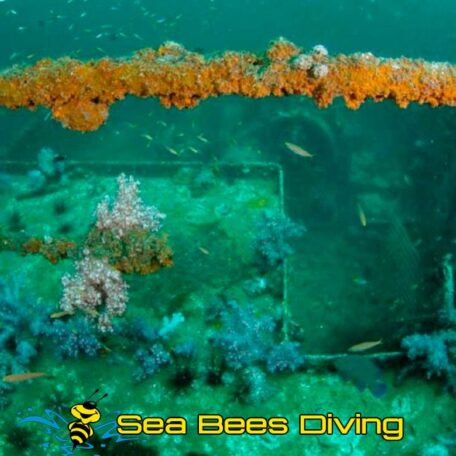 sea-bees-khao-lak-wreck-deck