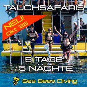 Marco Polo Liveaboard 5 Tage/5 Nächte