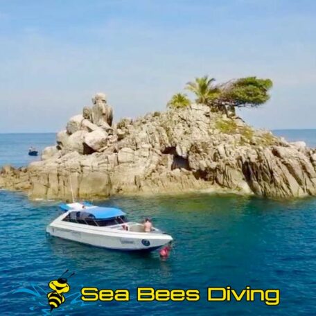sea-bees-nai-yang-chok-tip-speedboat