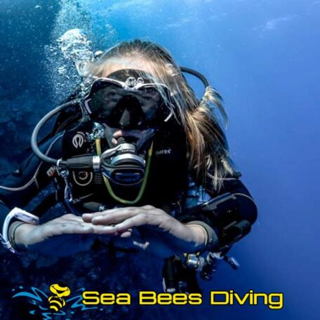 sea-bees-nai-yang-wall-diver