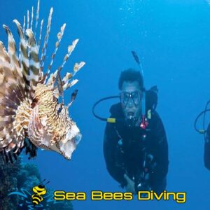 Open Water Diver Kurs – Nai Yang
