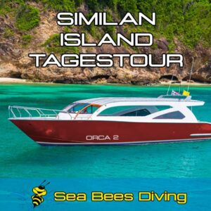 Similan Island Tagestour