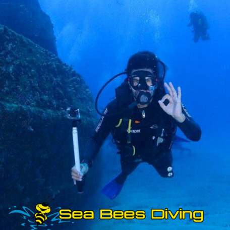 sea-bees-pak-meng-advanced-adventurer-diver