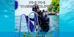 Phi Phi Tagestouren