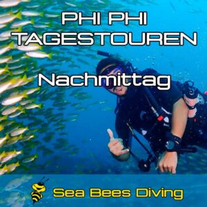 Täglicher Nachmittagstauchgang – Start ab Phi Phi
