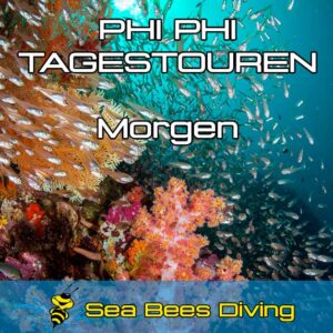 Tägliche Vormittagstauchgänge – Start ab Phi Phi
