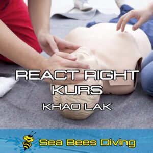 React Right Kurs – Khao Lak