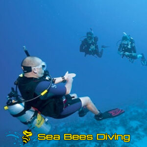 Rescue Diver Kurs – Phuket