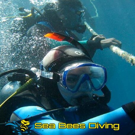 sea-bees-rescue-diver-course-safety-stop