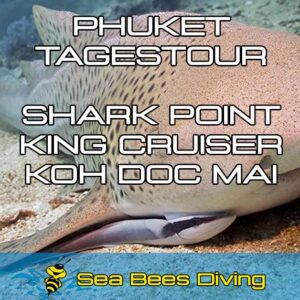Shark Point, King Cruiser und Koh Doc Mai