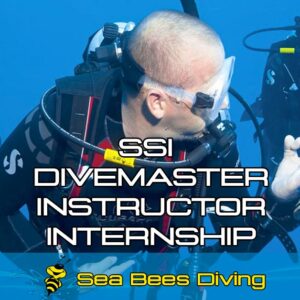 SSI Divemaster / Instructor Internship Programm