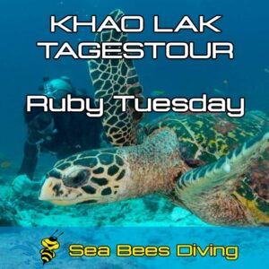 Ruby Tuesday Tagestour