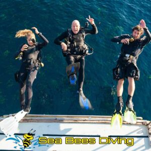 Marco Polo Liveaboard 5 Tage/5 Nächte