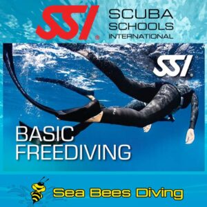 Basic Freediving Kurs – Nai Yang