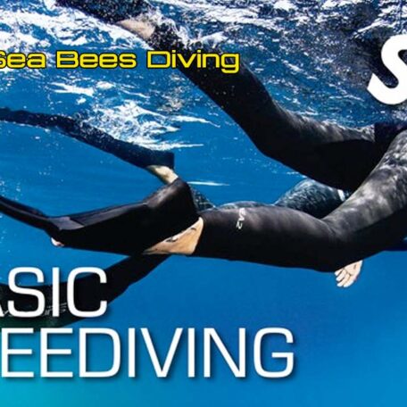 seabees-nai-yang-ssi-basic-freediving-course