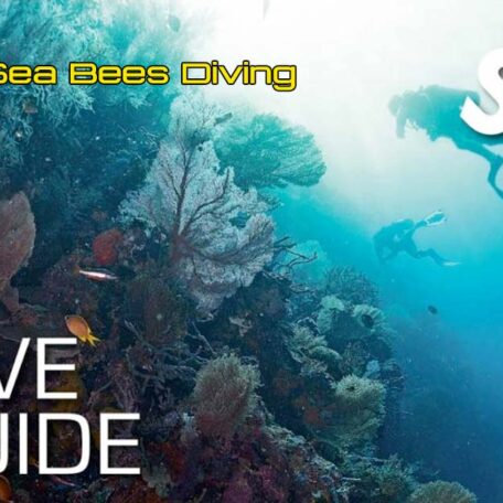 seabees-nai-yang-ssi-dive-guide-course