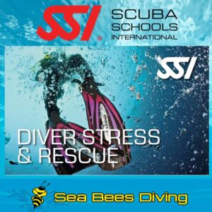 Rescue Diver Kurs – Nai Yang