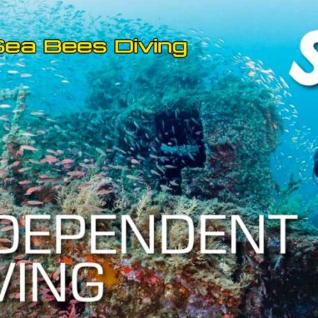 seabees-nai-yang-ssi-independent-diving-course