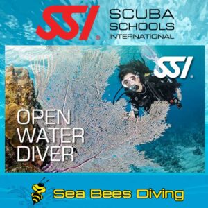 Open Water Diver Kurs – Nai Yang