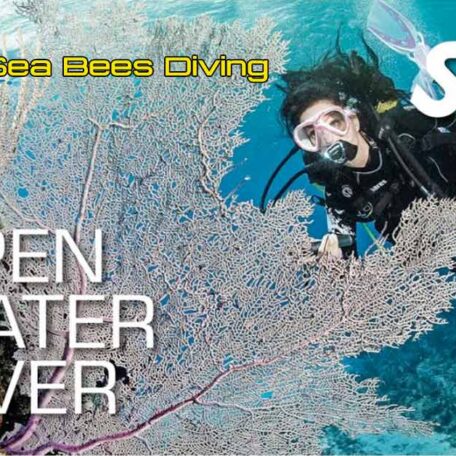 seabees-nai-yang-ssi-open-water-diver-course