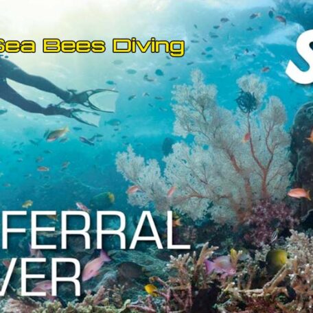 seabees-nai-yang-ssi-referral-diver-course