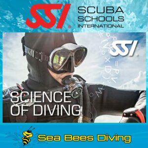 Science of Diving Specialty Kurs – Nai Yang