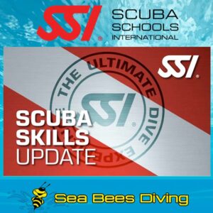 Scuba Diving Refresher – Nai Yang