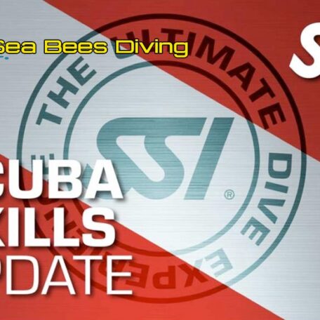 seabees-nai-yang-ssi-scuba-skills-update-course