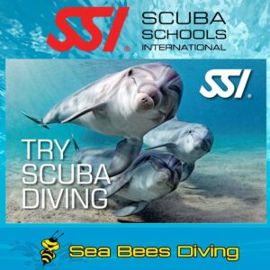 Try Scuba Diving – Nai Yang